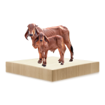 pet